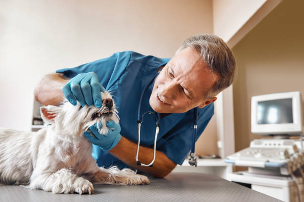 Best Emergency Tooth Extraction in Spring Lake, NC